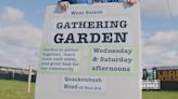 Harvesting Heroes: Brad Morris and the West Salem Gathering Garden