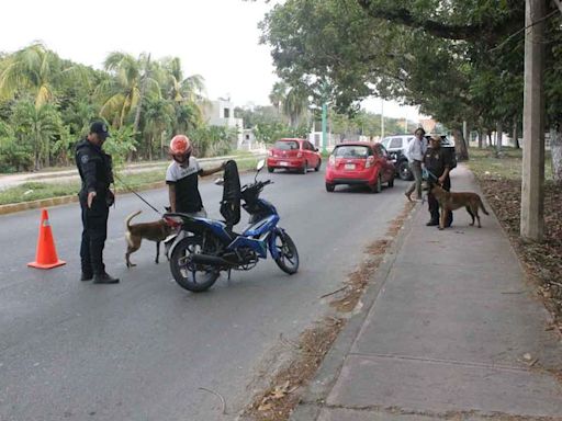 Motocicletas, los vehículos más usados para cometer delitos en Q. Roo