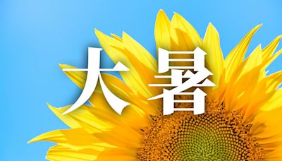 24節氣大暑：習俗、禁忌、諺語、天氣、養生重點一次看