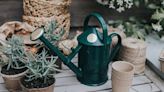 The 7 best watering cans for every job, according to gardening experts | CNN Underscored