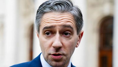 Sinister online threat of violence made against Simon Harris and family