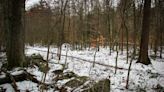 Get outside and enjoy a winter hike on these trails around Greater Fall River