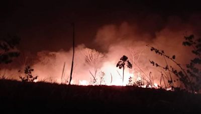 Pide Guichicovi ayuda del gobierno de Oaxaca para sofocar 8 incendios; en riesgo selva de Los Chimalapas