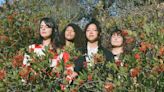 La Luz: Surfy Harmonies as High Art - SPIN