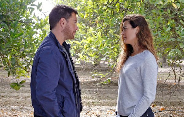 Everything We Know So Far About 'NCIS: Tony & Ziva'