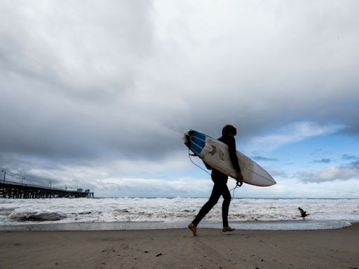 Cierran popular playa de California después de que un tiburón derribó a un surfista de su tabla