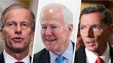 Three men named John: Senators begin jockeying to replace Mitch McConnell