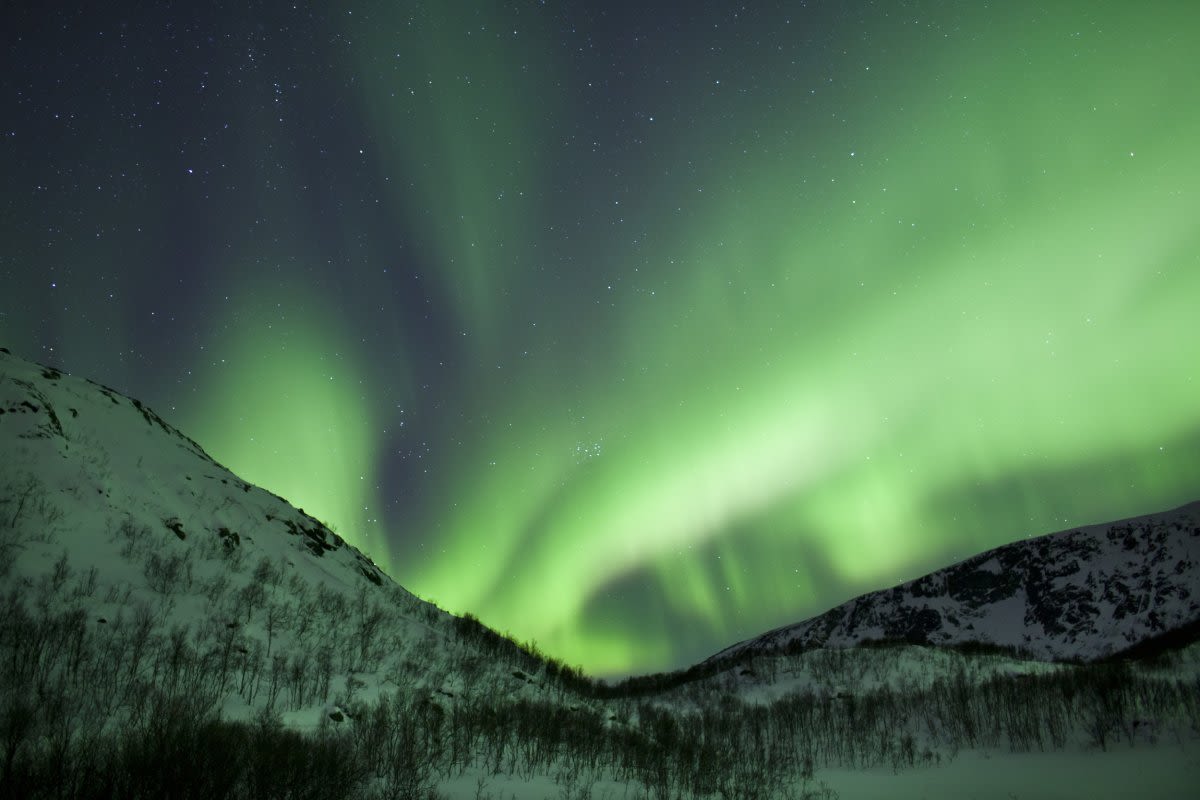 Northern lights could return tonight in some US states