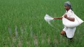 Monsoon forecast a respite for fertilizer industry, but risks remain