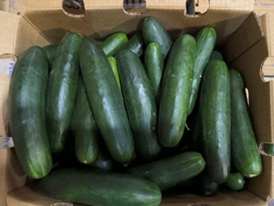 Cucumber recall: 27 sick in Pennsylvania after Salmonella outbreak
