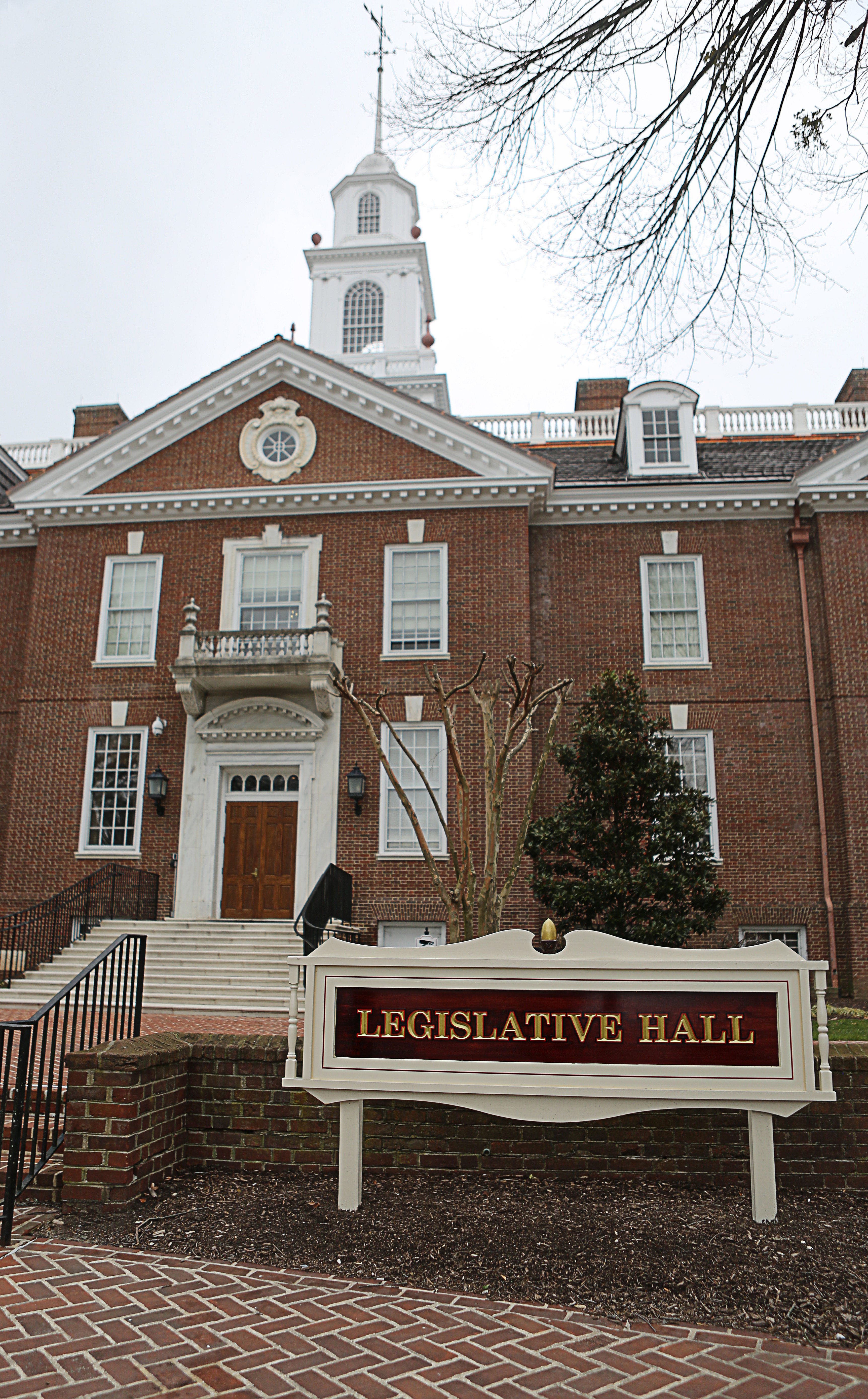 What Delaware General Assembly seats are up for election? General elections take shape