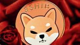 Shiba Inu ETF Speculation Rises: Analysts Weigh In on Potential Market Impact - EconoTimes