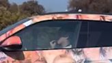 JoJo Siwa Gnaws on Fingernails While Driving Easy-to-Spot Lamborghini