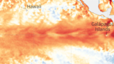 NOAA: 85% Chance El Niño Ends By June, La Niña Follows