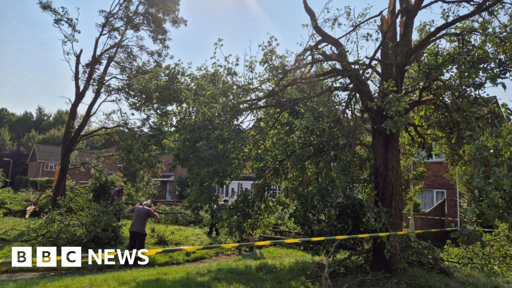 Aldershot tornado: Trees fall down and homes damaged