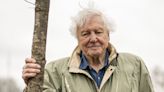 Sir David Attenborough revisits mammals in new BBC series