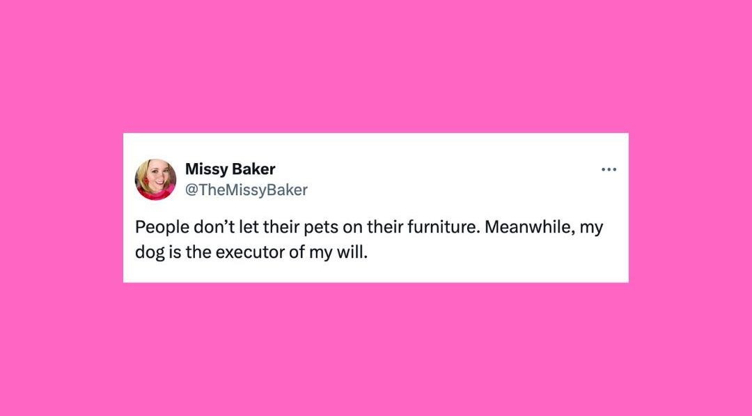 21 Of The Funniest Tweets About Cats And Dogs This Week (July 27-Aug. 2)