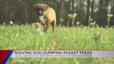 East Texas animal rescue advocates look for solutions to fight pet abandonment