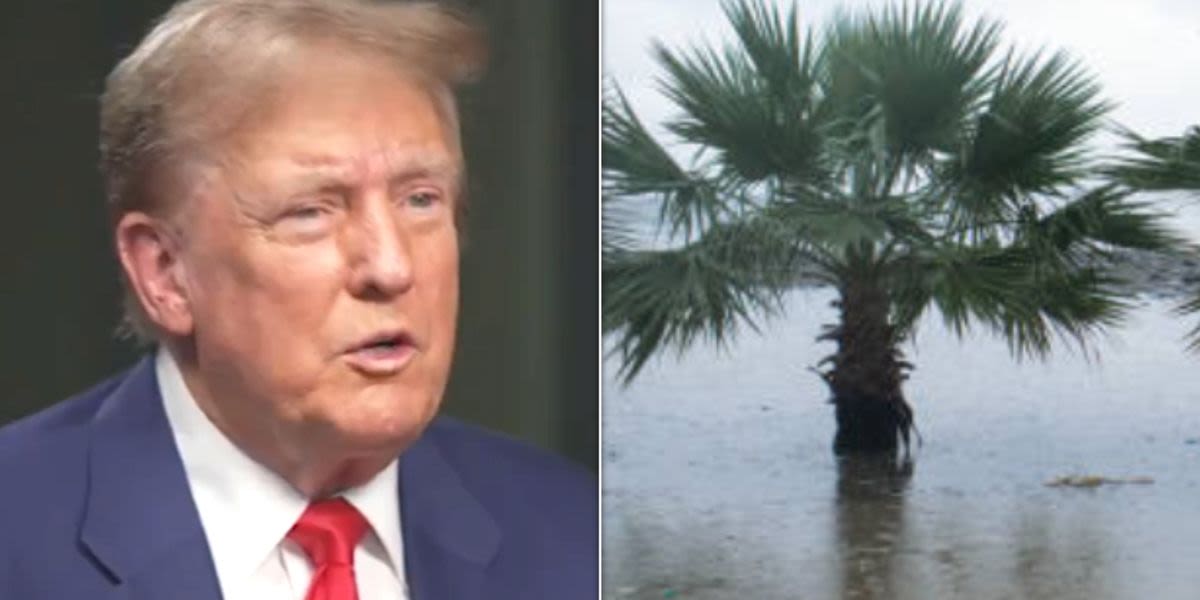 Donald Trump's 'Nonsensical' Jab At Rising Sea Levels Is Hit By Wave Of Mockery