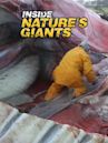 Inside Nature's Giants