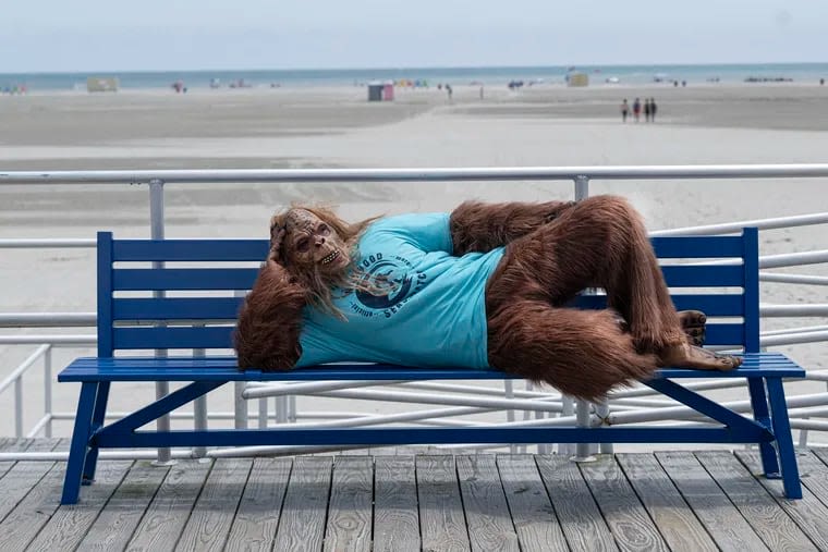 Up close and personal with the Wildwood Seasquatch