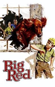 Big Red (film)