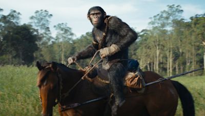 What to Know Before Seeing ‘Kingdom of the Planet of the Apes’