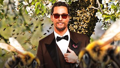 Matthew McConaughey shares grotesque bee sting image