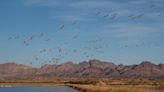 To keep the Colorado River's heart beating, people step in to do what nature once did