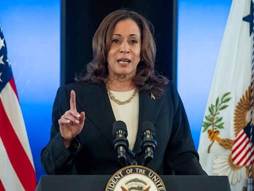 6 Democrats who could be VP picks for Harris