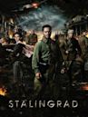 Stalingrad (2013 film)