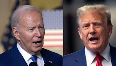 This wildcard could decide Donald Trump and Joe Biden's rematch