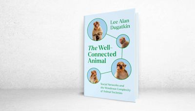 ‘The Well-Connected Animal’ Review: Secrets of Social Creatures