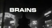 3. Brains
