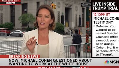 MSNBC Host Says Trump Allies Had 'Mean Girls' Moment With George Conway In Court