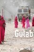 Gulabi Gang (film)