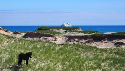 B.C. pair found dead in inflatable boat washed up on Nova Scotia's Sable Island