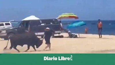 Toro embiste a una turista en una playa de Los Cabos de México y nadie la ayuda