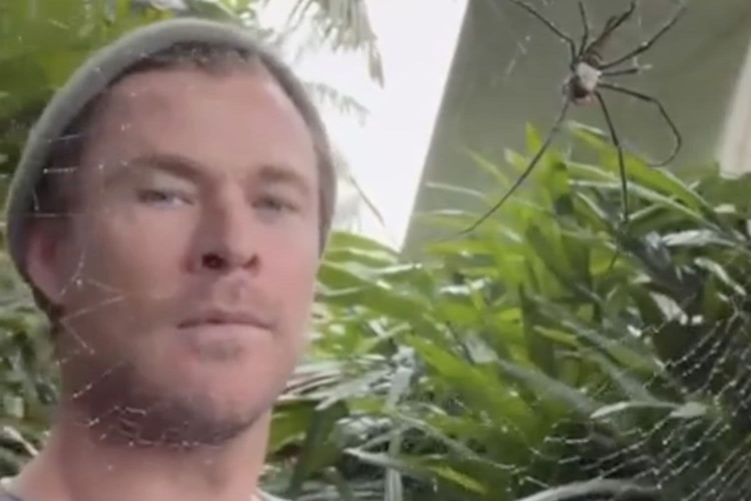 Chris Hemsworth Shares Close Encounter with Huge Spider and Jokes ‘Didn’t Even Scare Me’