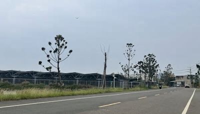 台南地面型太陽光電申請案 賴系議員籲暫停審查