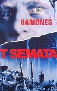 Pet Sematary (song)