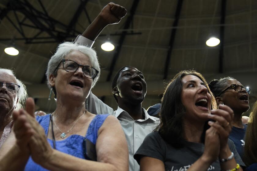 Black women, white dudes, crazy cat ladies: Identity groups fuel a groundswell for Harris