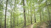 Hiker's Path: The Ten O’clock Line Nature Preserve