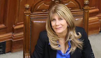 Reelección de senadora Rincón al límite: Servel fija criterio que le permitiría postularse por tercera vez - La Tercera