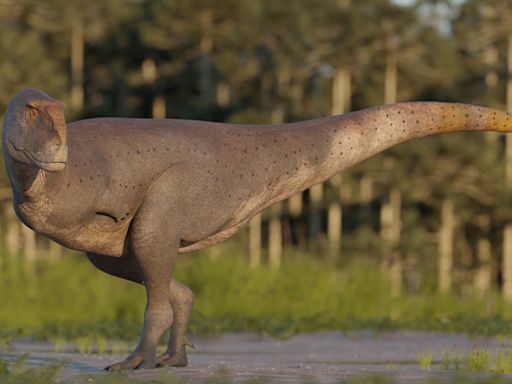 Descubrieron una nueva especie de dinosaurio carnívoro en Chubut - Diario Hoy En la noticia