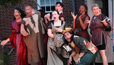 There is much ado about Shakespeare in CT this summer