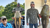 Massive 95-pound flathead catfish caught in Oklahoma