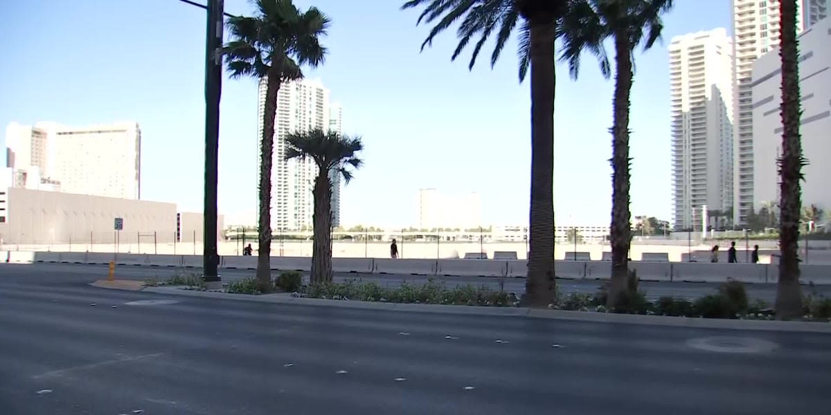 Proposed north Las Vegas Strip development could be home to NBA team