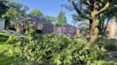 Several tree limbs down following overnight storm in Lincoln