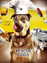 Rescue Dogs: The Movie